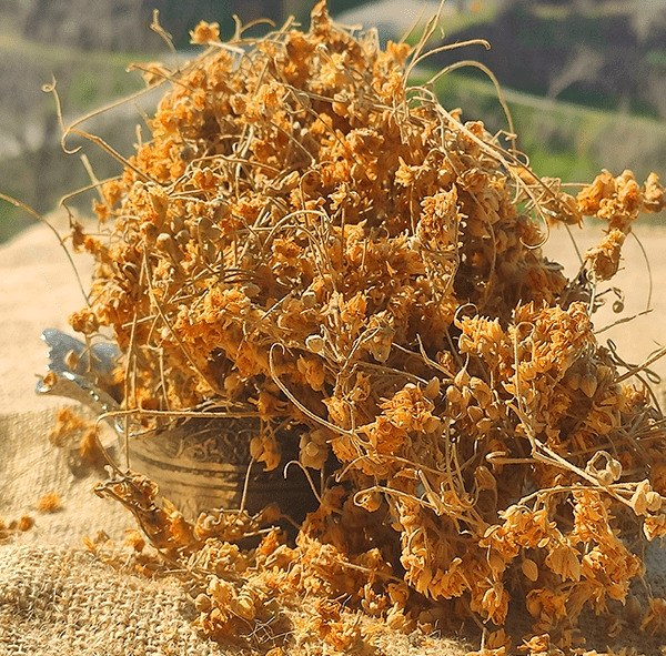 Linden (100 GR) - 1