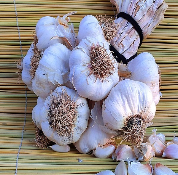 Garlic - 1 Kg - 1